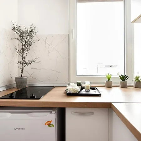 Apartment White Haven - Calea Victoriei *